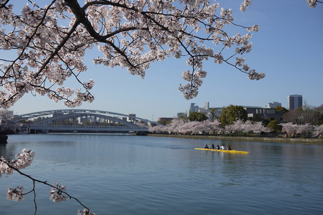 Osaka Castle Tsuruhashi Tennoji